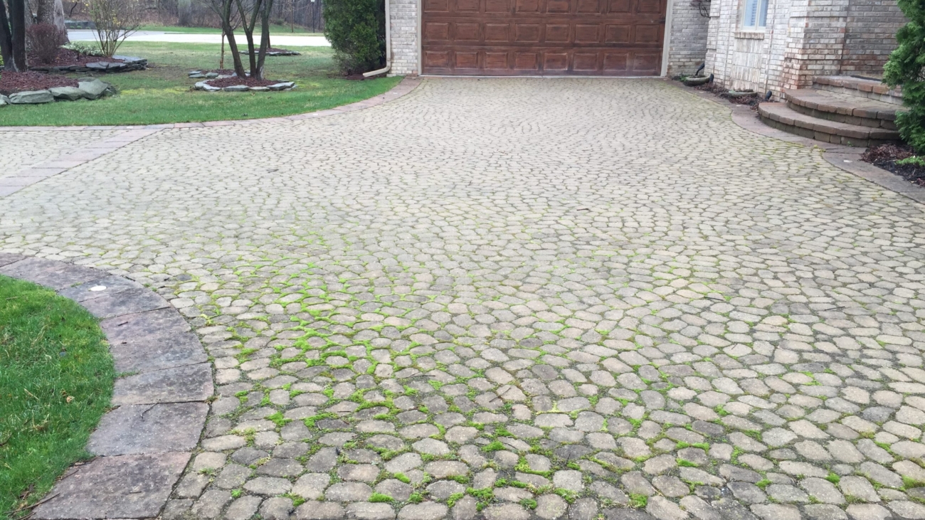 algae-and-moss-removal-after-on-pavers-pavers-restored-to-new-look