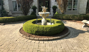 Preventing Algae & Moss On Brick Pavers In Oakland & Macomb County Michigan