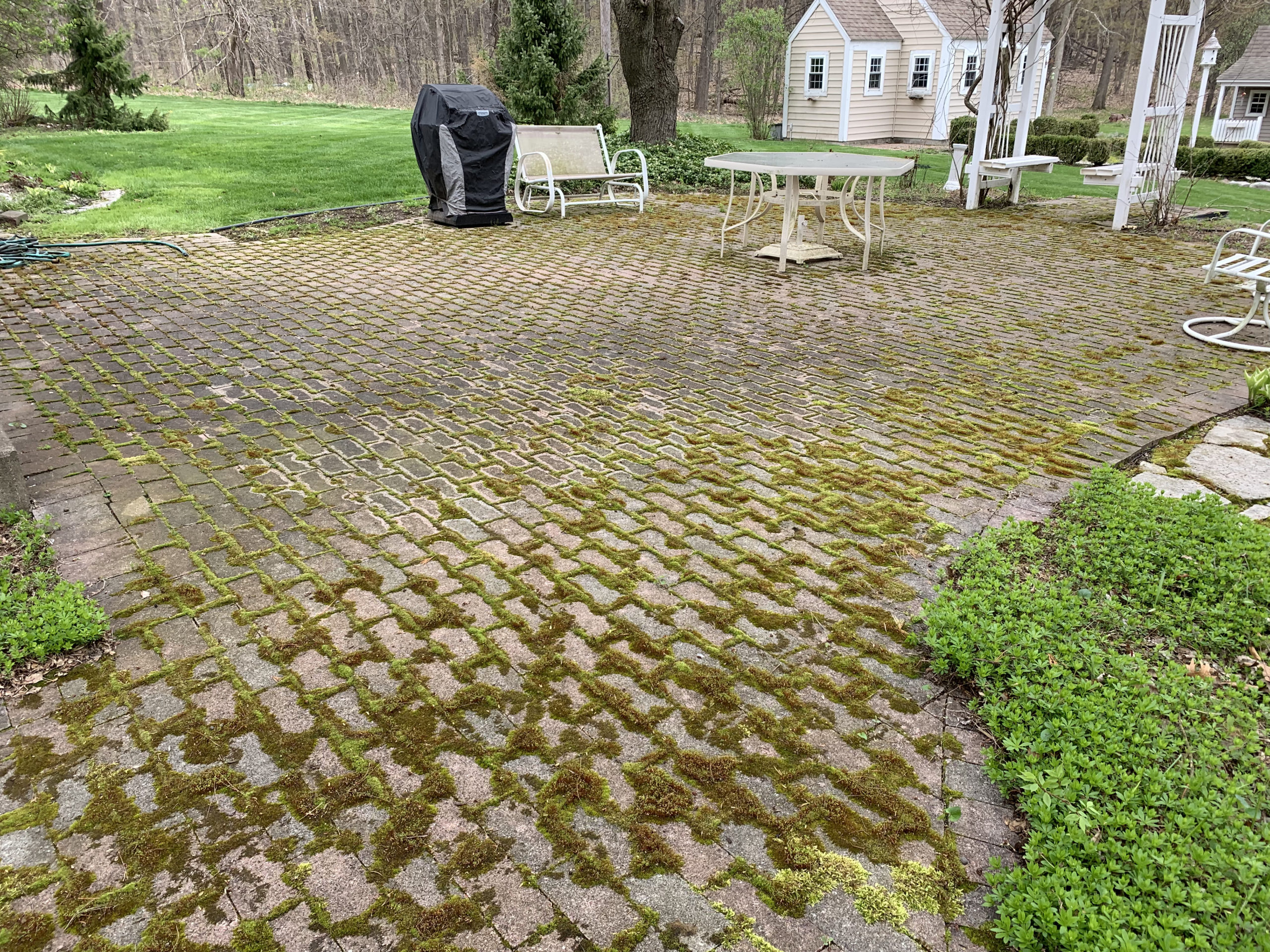 Preventing Weeds & Moss In Brick Pavers In Michigan Surface Restoration